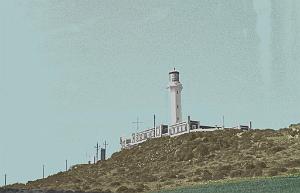 Cap Falcon 04